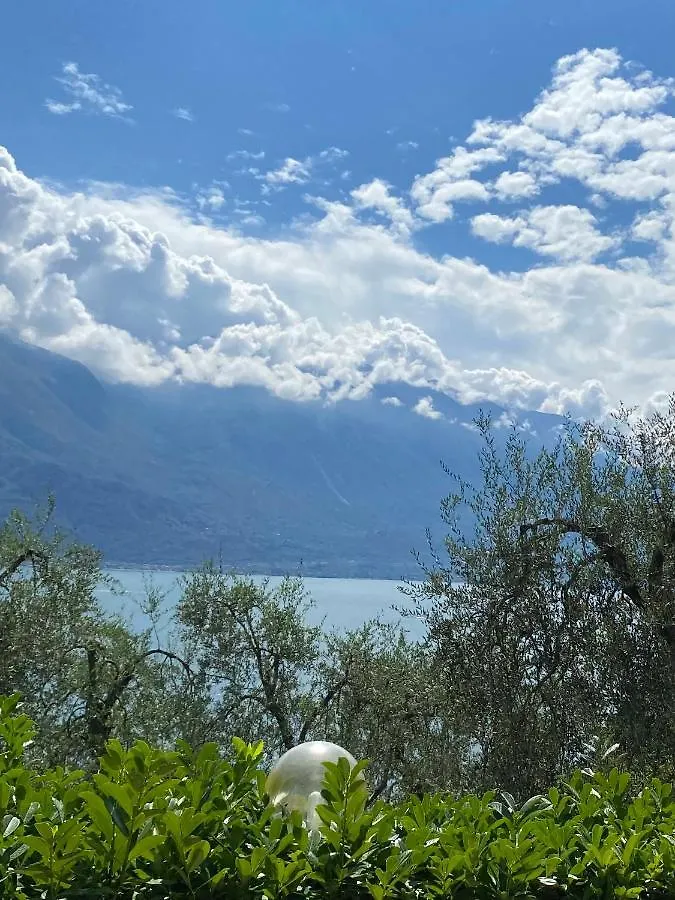 Villa Gianna Terrazza Limone sul Garda Appartement